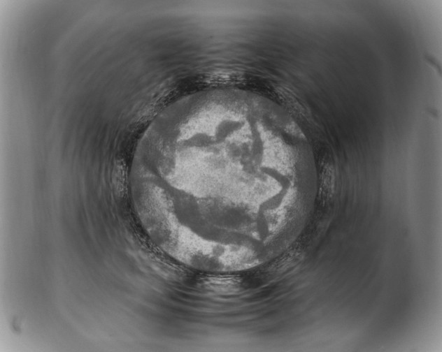 X0000102250659200808221354