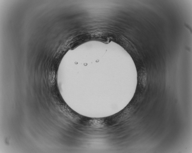 X0000102250660200808221354
