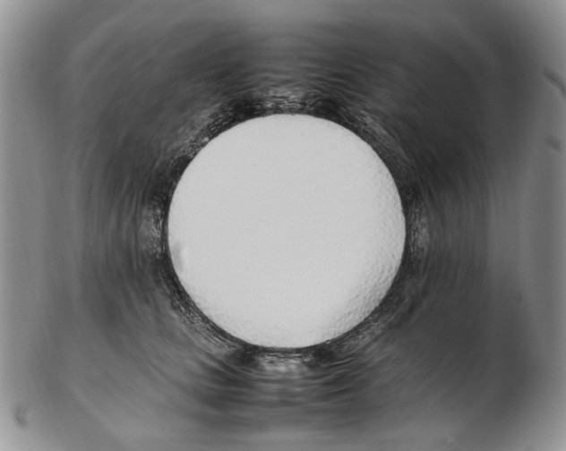 X0000102250661200808221354