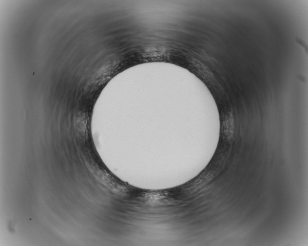 X0000102250662200808221354