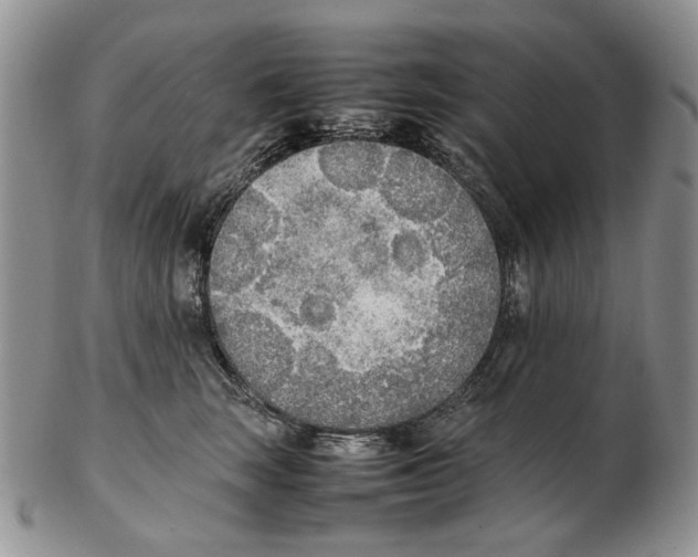 X0000102250663200808221354