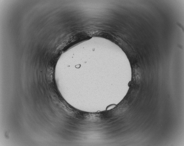 X0000102250664200808221354