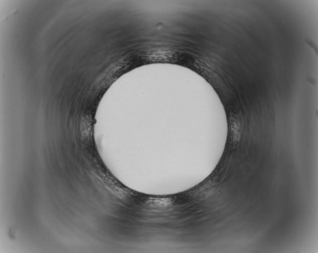 X0000102250665200808221354