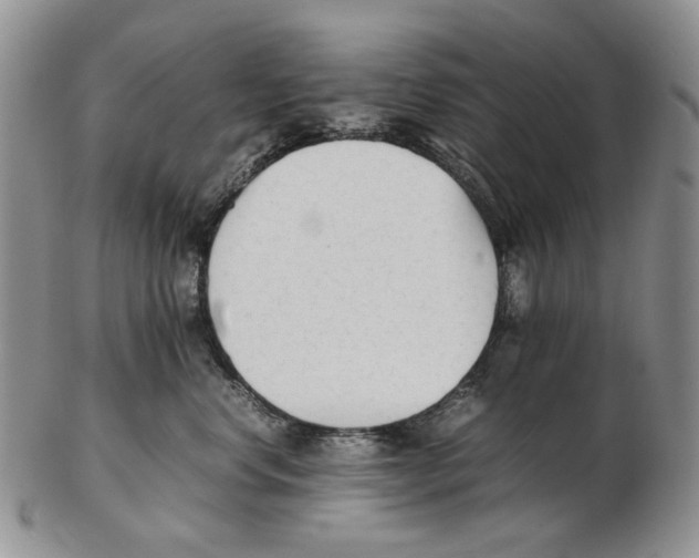 X0000102250668200808221354