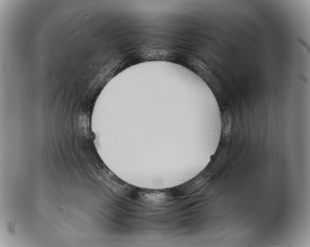 X0000102250669200808221354