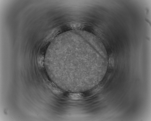 X0000102250671200808221354