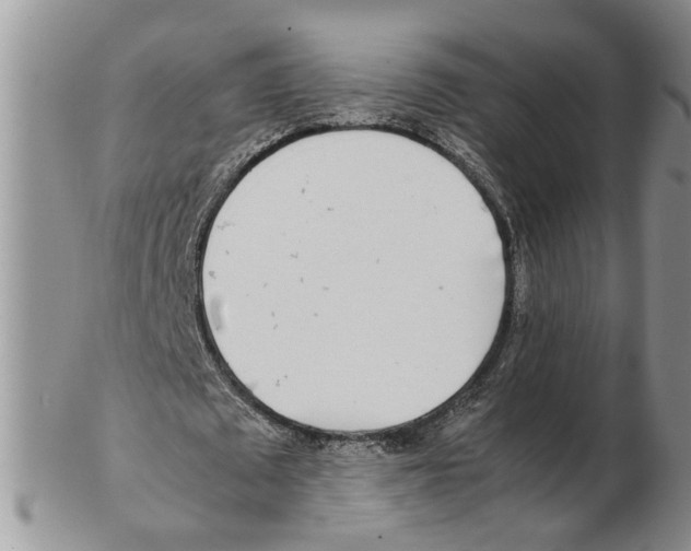 X0000102250673200808221353