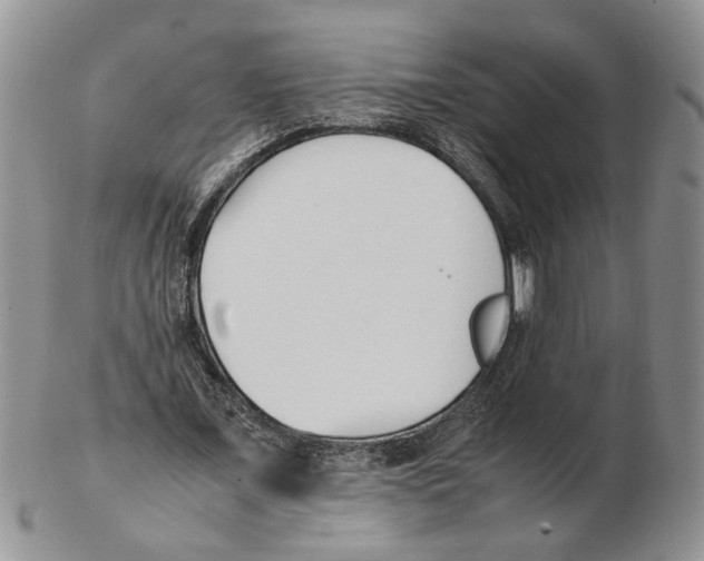 X0000102250675200808221353