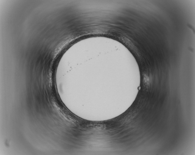 X0000102250676200808221353