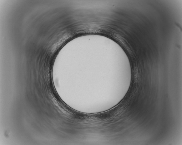 X0000102250677200808221353