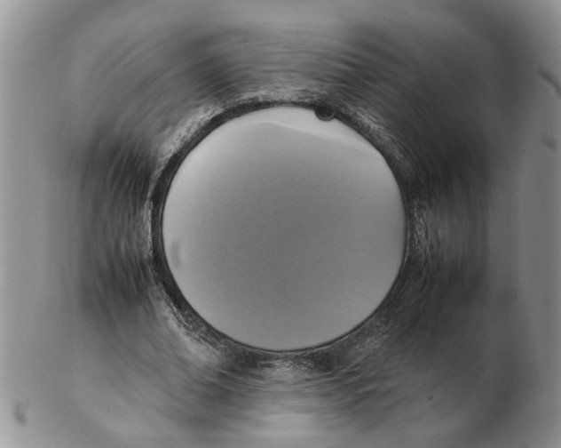 X0000102250678200808221353