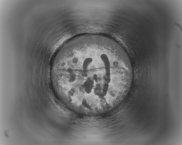 X0000102250679200808221353
