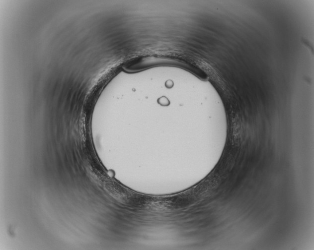 X0000102250680200808221353