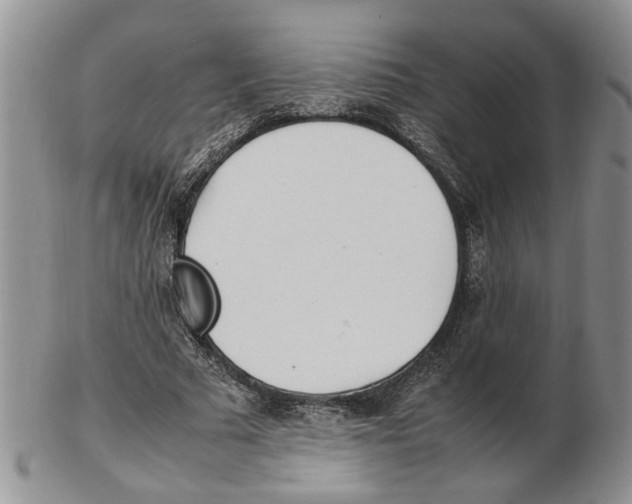 X0000102250681200808221353