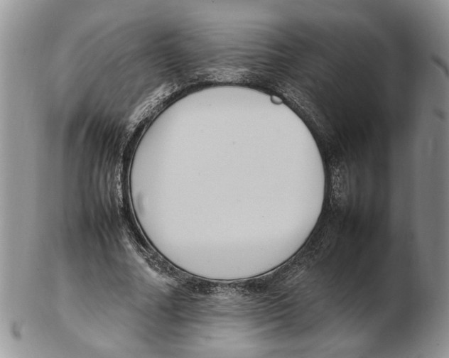 X0000102250682200808221353