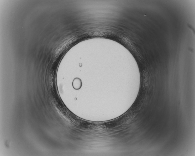X0000102250683200808221353