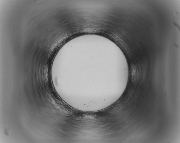 X0000102250684200808221353