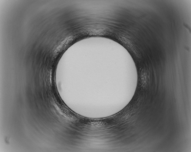 X0000102250686200808221353