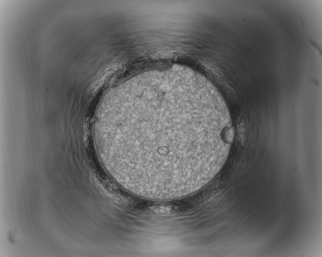 X0000102250687200808221353