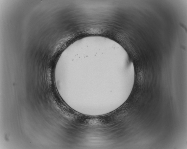X0000102250688200808221353