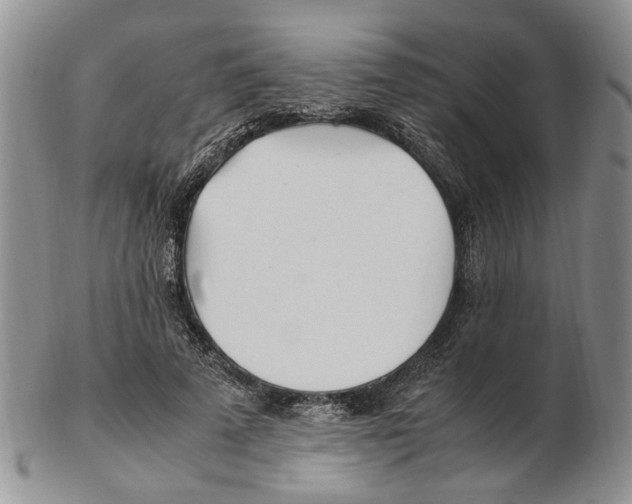 X0000102250689200808221353