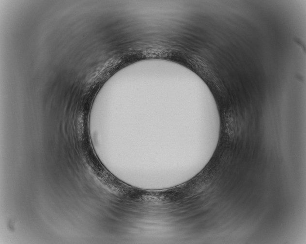 X0000102250690200808221353