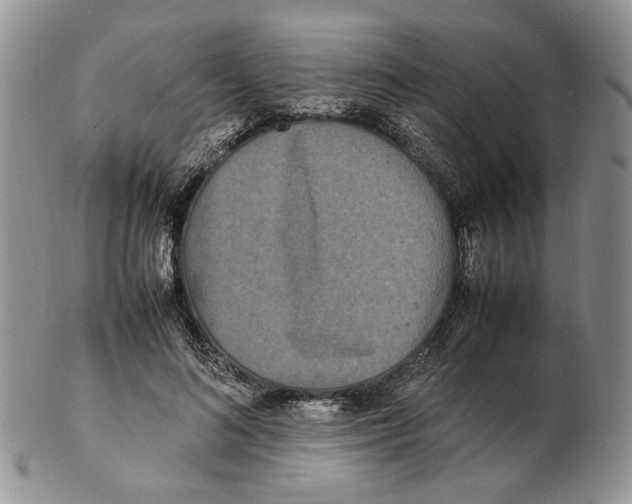 X0000102250692200808221353