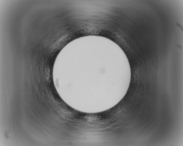 X0000102250693200808221353