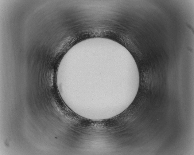 X0000102250694200808221353