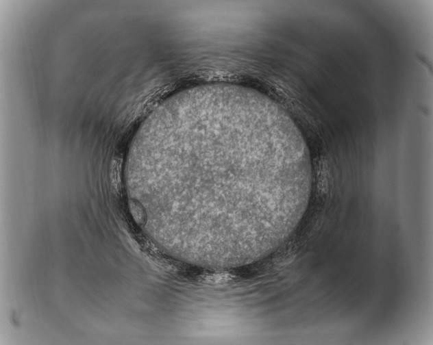 X0000102250695200808221353