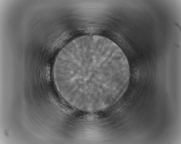 X0000102250696200808221353