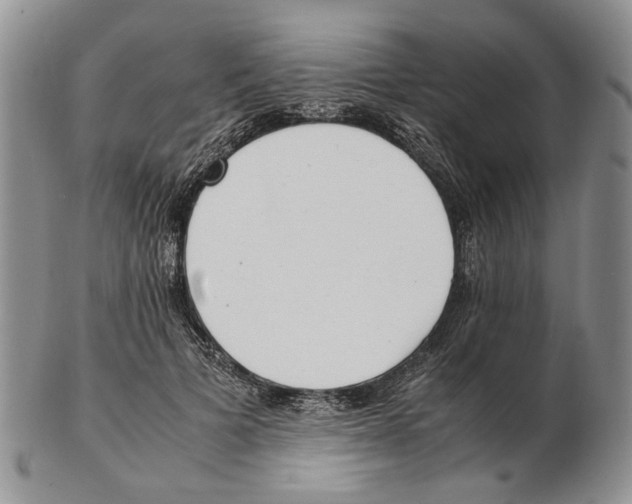 X0000102250697200808221353