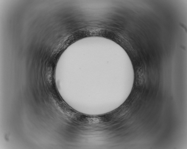 X0000102250698200808221353