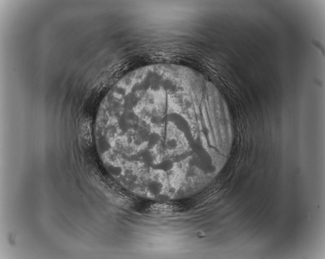 X0000102250699200808221353