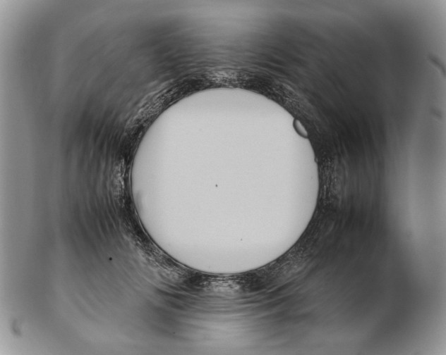 X0000102250702200808221353