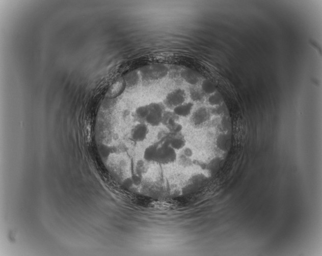 X0000102250703200808221353