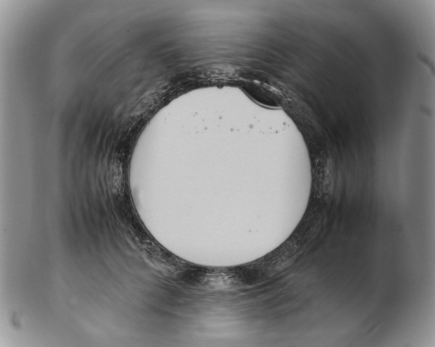 X0000102250704200808221353