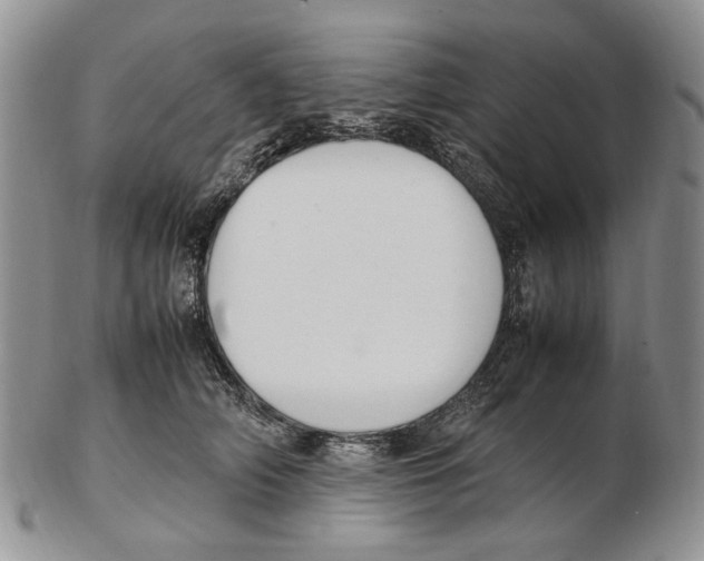 X0000102250706200808221353