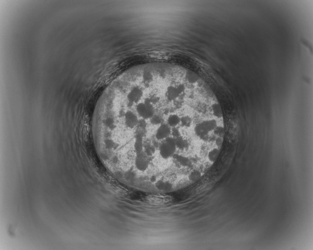 X0000102250707200808221353