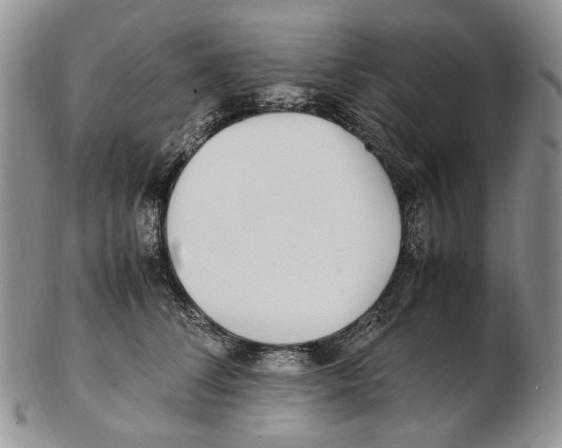 X0000102250708200808221353