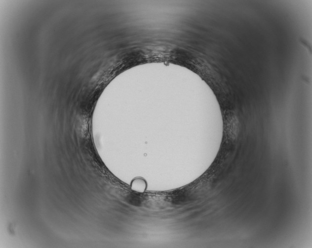 X0000102250709200808221353