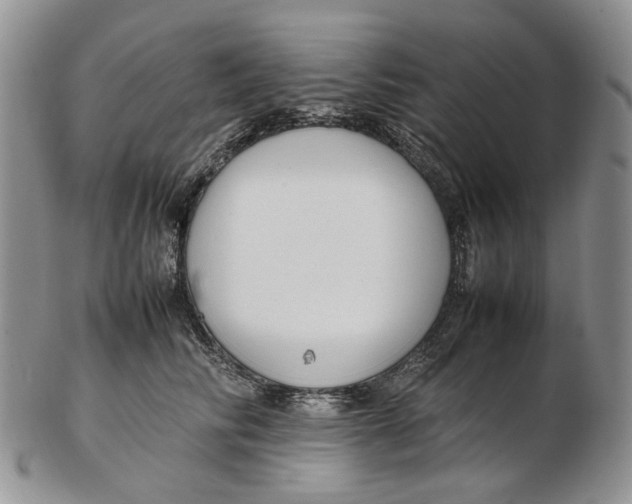 X0000102250710200808221353