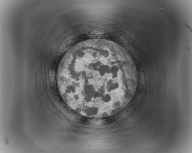 X0000102250711200808221353