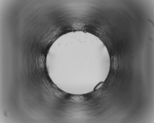 X0000102250712200808221353