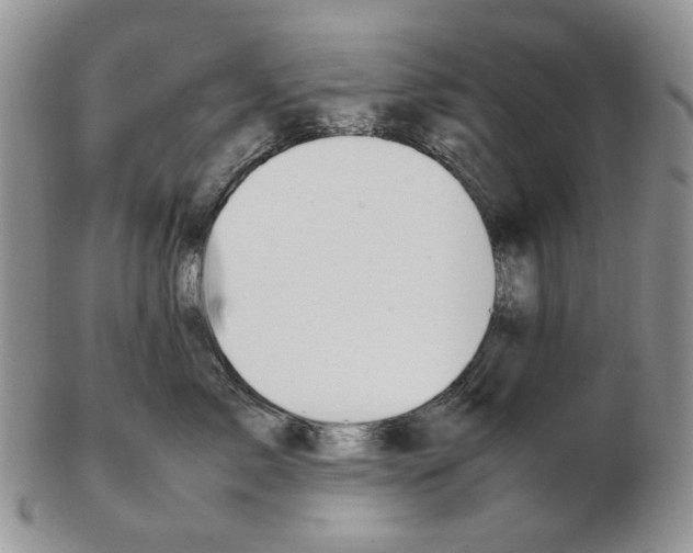 X0000102250717200808221352