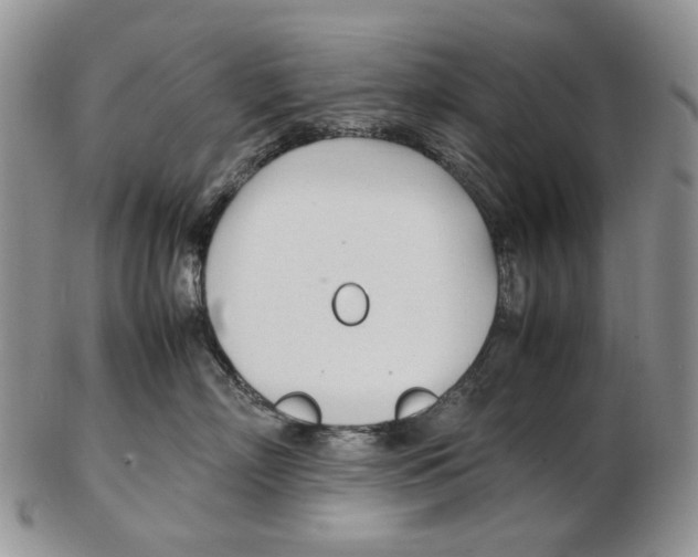X0000102250718200808221352