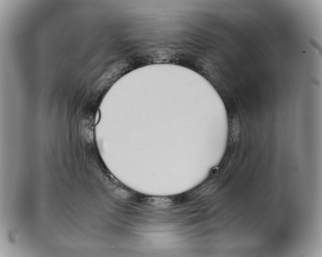 X0000102250719200808221352