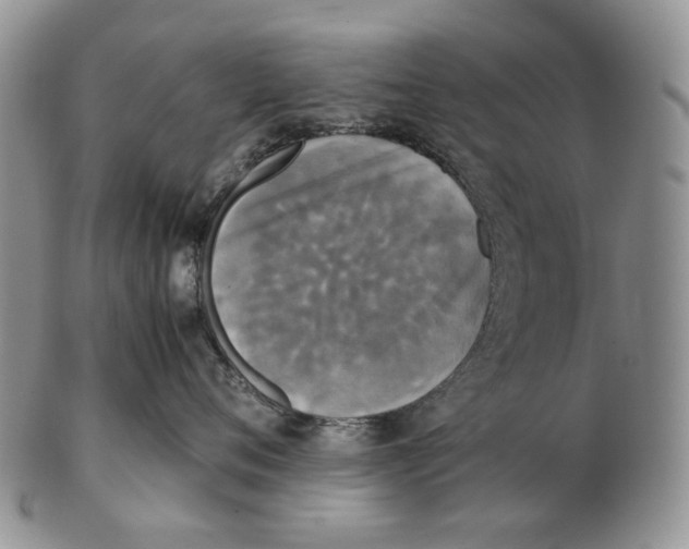 X0000102250720200808221352