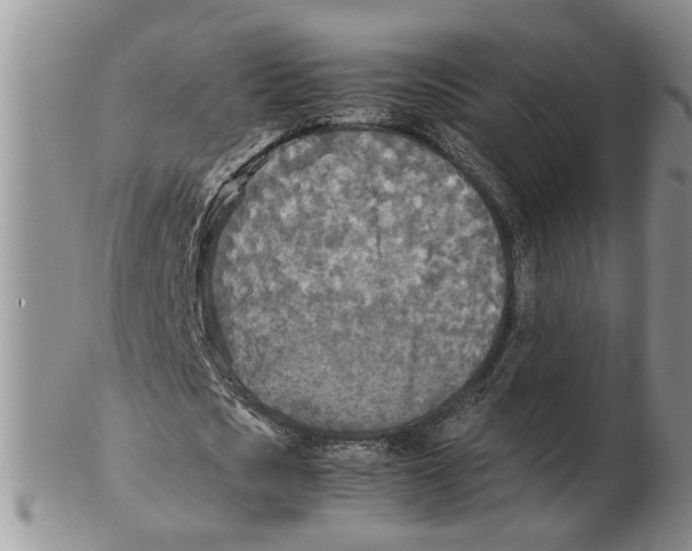 X0000102250721200808221352