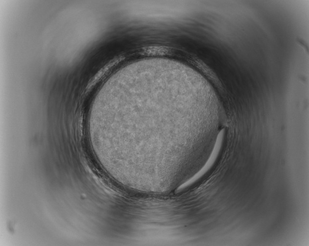 X0000102250722200808221352